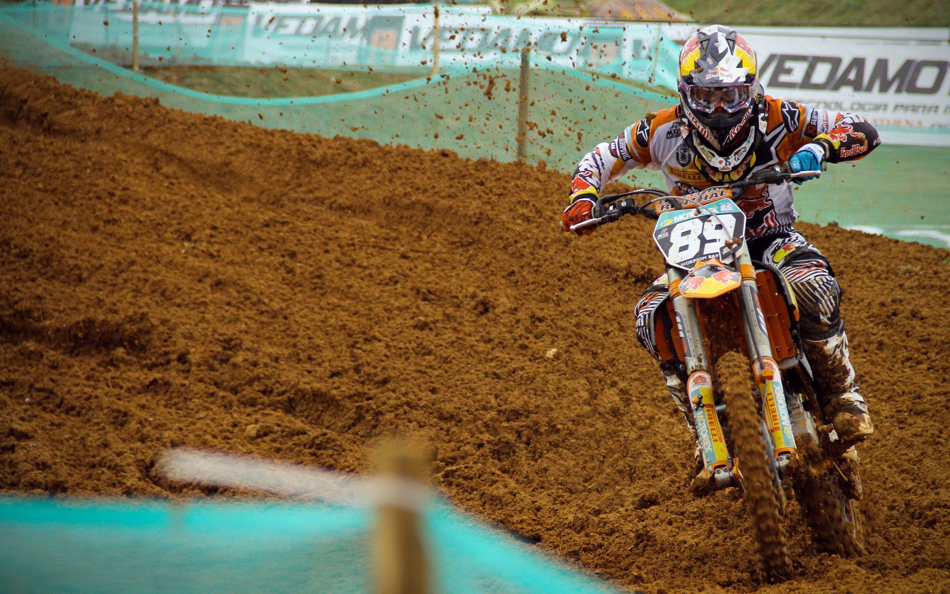 体育媒体关注度持续上升